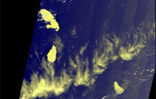 Télédetection sargasses