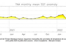 Figure 4b : Nord de l’Océan Atlantique tropical, moyennes mensuelles des anomalies de température de surface de la mer  entre juillet 2020 et  juillet 2022 (source : Union Européenne - Mercator Océan)