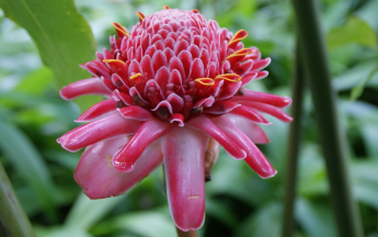 Météo à 3 mois : Prévisions saisonnières mars à mai 2026