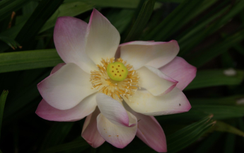 Météo à 3 mois : Prévisions saisonnières avril à juin 2026