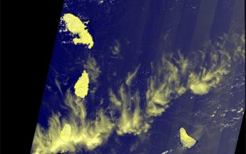 Télédetection sargasses
