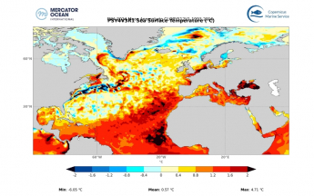Anomalies de température de surface de l'Océan Atlantique Nord en février-mars-avril 2024 en comparaison de la moyenne pour la même période entre 1993 et 2016