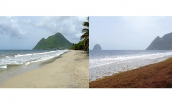 MétéoFrance, acteur du plan national de prévention et de lutte contre les sargasses