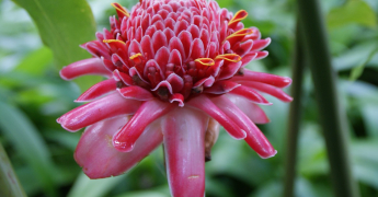 Météo à 3 mois : Prévisions saisonnières mars à mai 2026