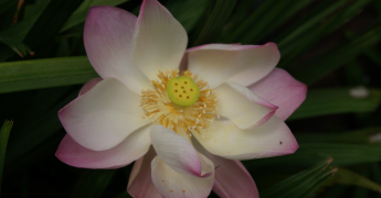 Météo à 3 mois : Prévisions saisonnières avril à juin 2026