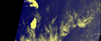 Télédetection sargasses