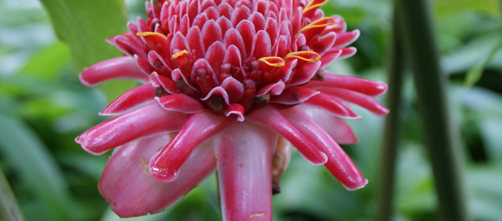 Météo à 3 mois : Prévisions saisonnières mars à mai 2026