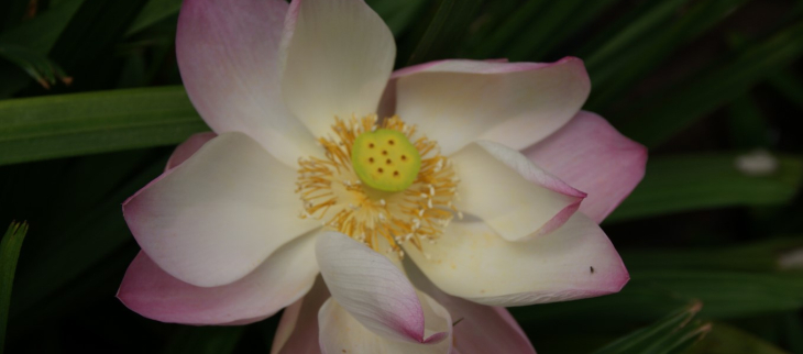 Météo à 3 mois : Prévisions saisonnières avril à juin 2026