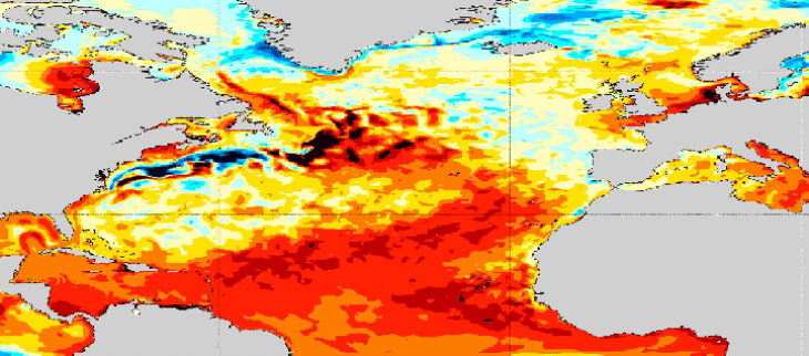 Anomalies de température de surface de l'Océan Atlantique Norden avril, mai, juin 2024 en comparaison de la moyenne pour la même période entre 1993 et 2016