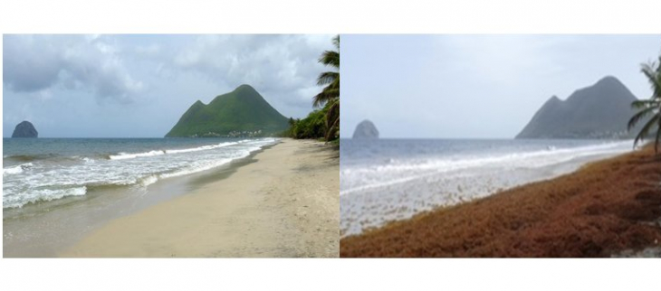 MétéoFrance, acteur du plan national de prévention et de lutte contre les sargasses