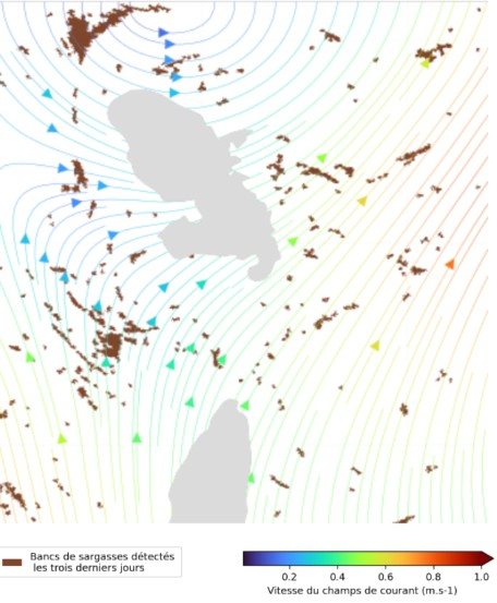 Image composite 3jrs. OLCI Sentinel3, champs de courants Globcurrent.