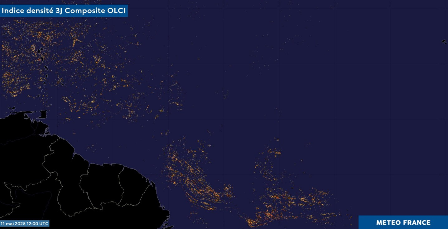 Carte composite 3j. OLCI  Atlantique