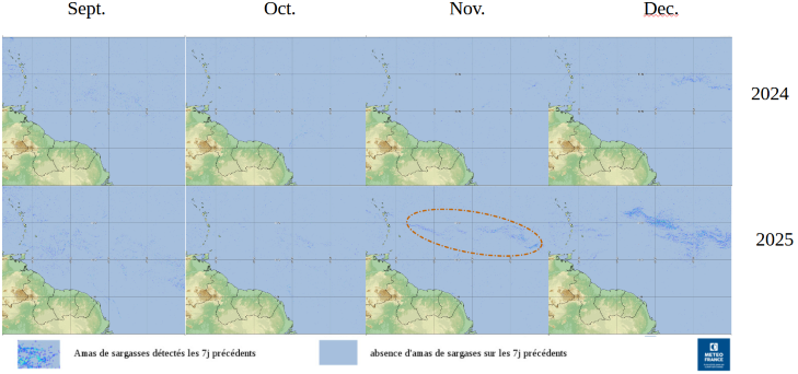 Chronologie de l’image composite 7 jours pour les 4 derniers mois de l’année 2024 et 2025