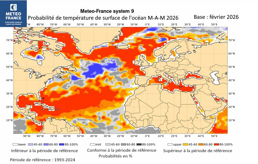 Probabilités de température de surface de l'océan pour M-A-M 2026