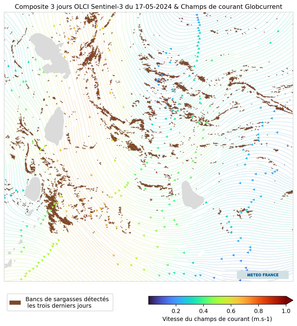 Moyenne des détections de sargasses du 15 au 17 mai 2024 - Champs de courant: Globcurrent