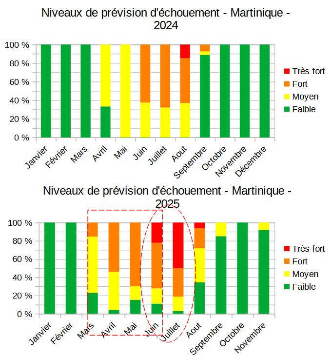 Niveaux de prévisions des échouements de sargasses