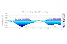 Figure 1 : Région Niño 3.4 (Pacifique équatorial central), moyennes mensuelles des anomalies de température de surface de la mer entre juin 2020 et mai 2022 (source : Union Européenne - Mercator Océan)