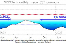 Figure 1 : Région Niño 3.4 (Pacifique équatorial central), moyennes mensuelles des anomalies de température de surface de la mer entre août 2020 et juillet 2022 (source : Union Européenne - Mercator Océan)