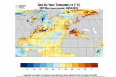 Figure 4a : Anomalies de température de surface de l'Océan Atlantique Nord  en mai-juin-juillet 2022 en comparaison de la moyenne pour la même période entre 1993 et 2016 (source : Union Européenne - Mercator Océan)