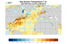 igure 5a : Anomalies de température de surface de l'Océan Atlantique Nord  en février-mars-avril 2022 en comparaison de la moyenne pour la même période entre 1993 et 2016 (source : Union Européenne - Mercator Océan)