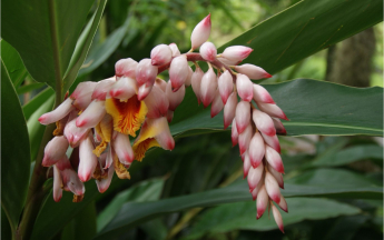 Bulletin Climatique Annuel - 2025