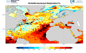 Anomalies de température de surface de l'Océan Atlantique Nord en janvier-février-mars 2024 en comparaison de la moyenne pour la même période entre 1993 et 2016