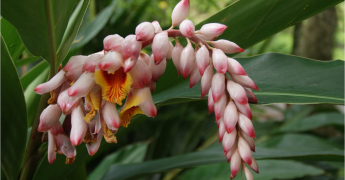 Bulletin Climatique Annuel - 2025