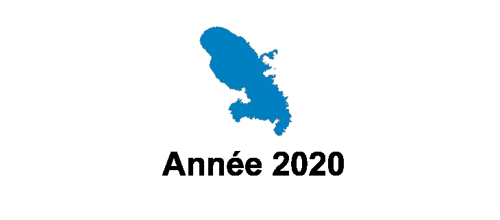 Bulletin Climatique Annuel - 2020 Bulletin Climatique Annuel - 2020