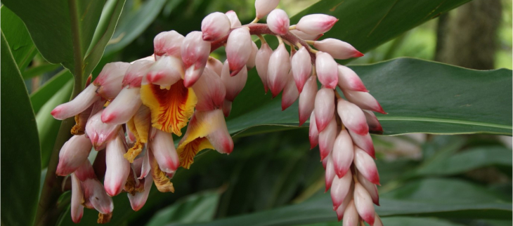 Bulletin Climatique Annuel - 2025