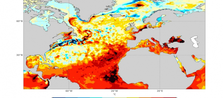 Anomalies de température de surface de l'Océan Atlantique Nord en février-mars-avril 2024 en comparaison de la moyenne pour la même période entre 1993 et 2016