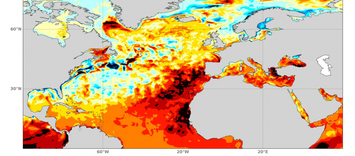 Anomalies de température de surface de l'Océan Atlantique Nord en janvier-février-mars 2024 en comparaison de la moyenne pour la même période entre 1993 et 2016