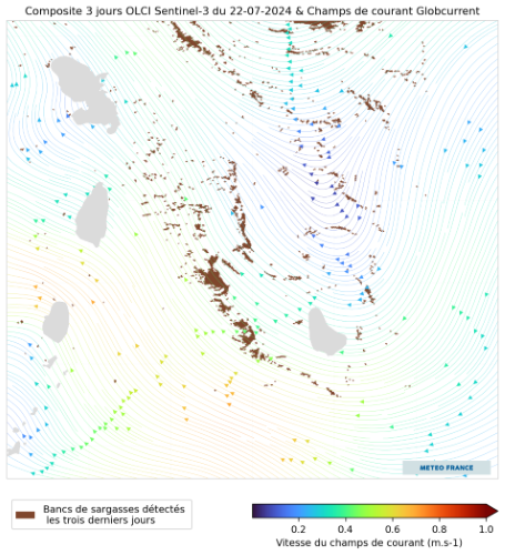 Composite 3 jours OLCI et Globcurrent