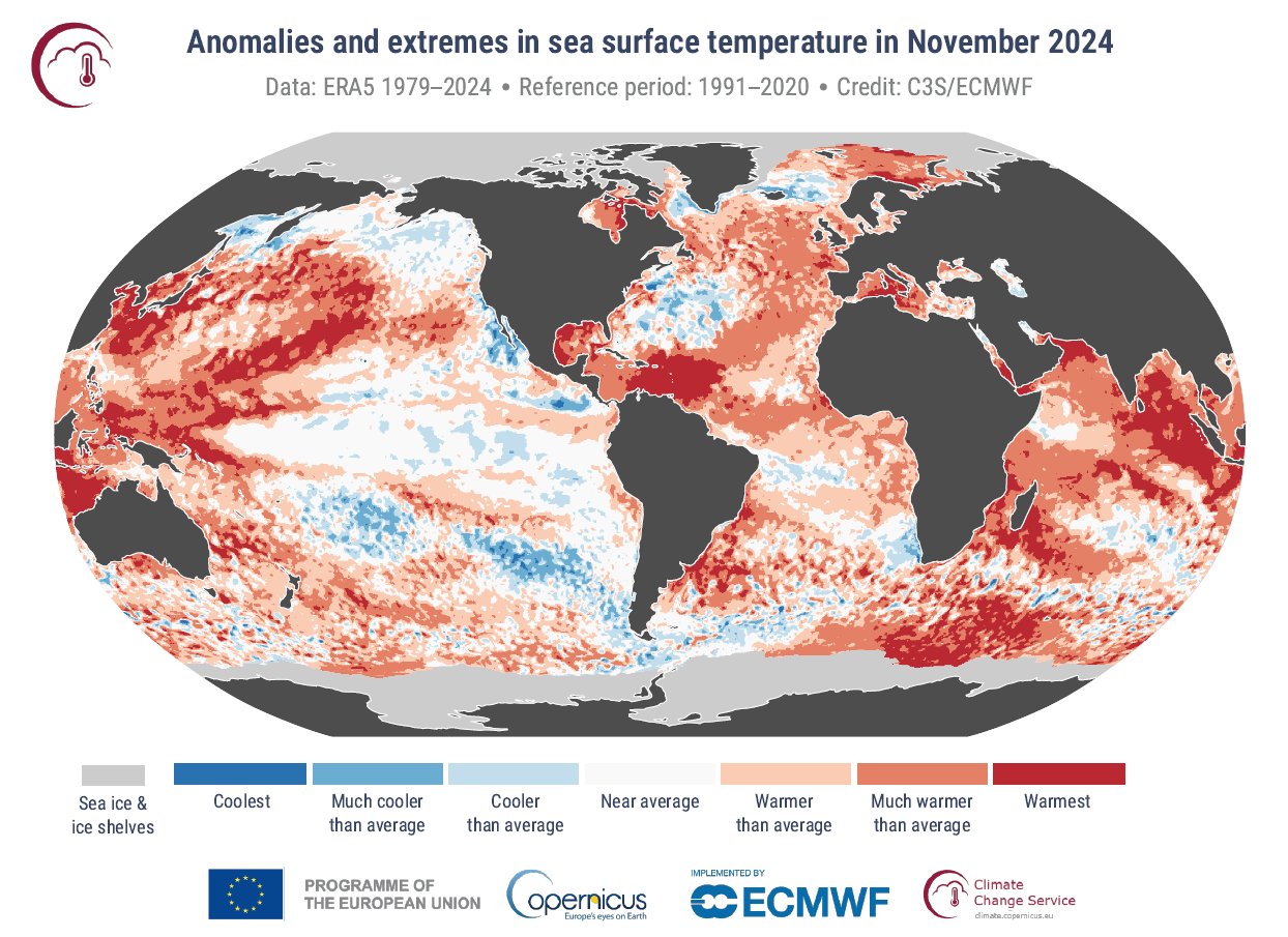 Figure 3 : Anomalies et extrêmes de la température de surface de la mer pour novembre 2024