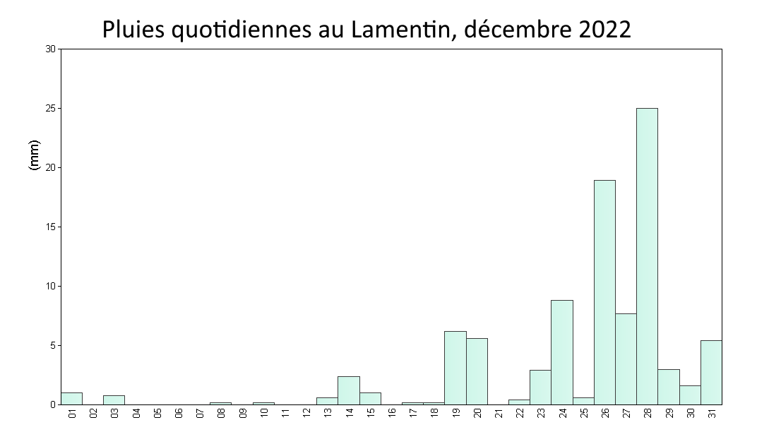 Pluies quotidiennes au Lamentin, décembre 2022