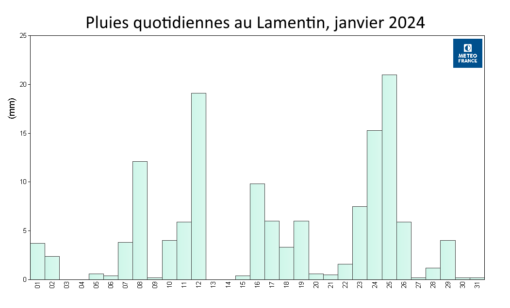 Pluies quotidiennes au Lamentin, janvier 2024