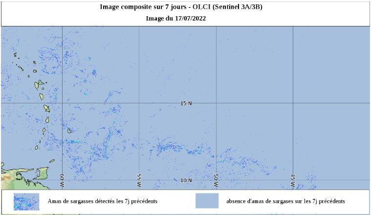 Image composite de détection des sargasses sur les 7 jours passés