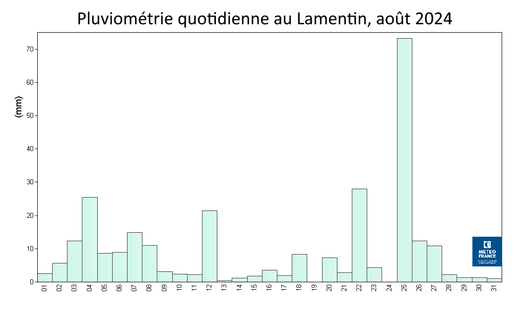 Pluies quotidiennes au Lamentin, août 2024