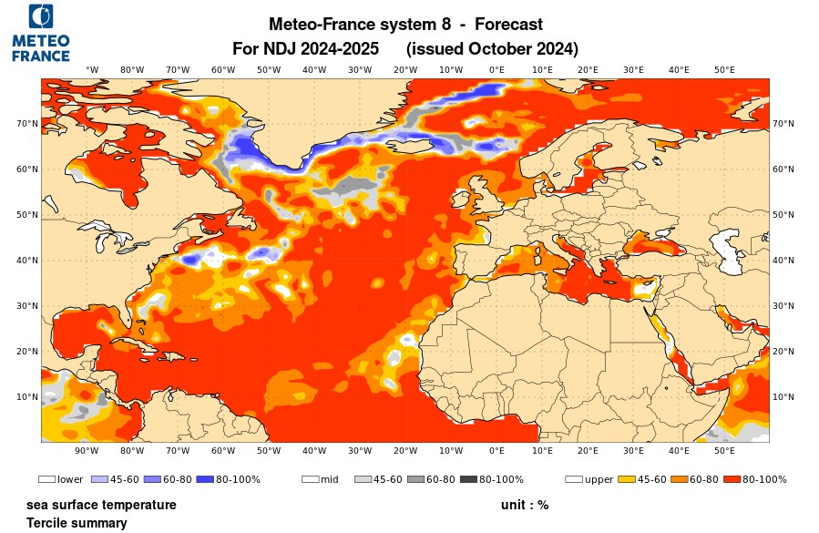 Probabilités de température de surface de l'océan pour nov. déc. janv 2025