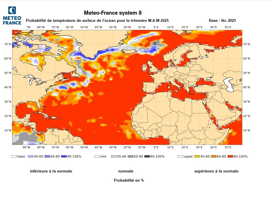 Probabilités de température de surface de l'océan pour M-A-M 2025